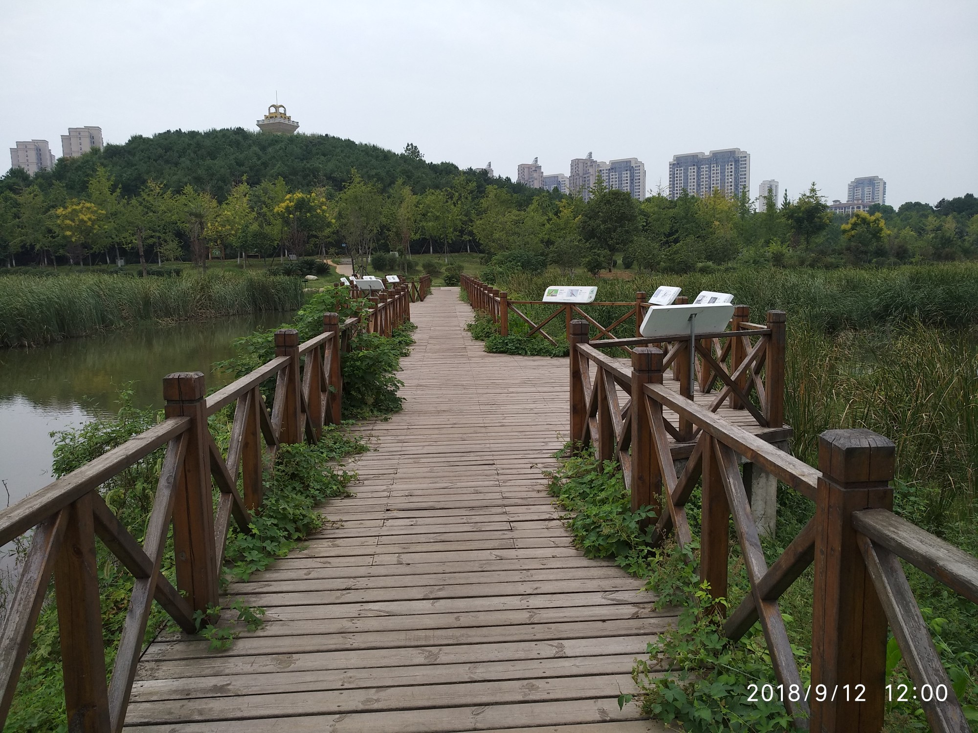 藏龙岛湿地公园，探寻历史印记的起点